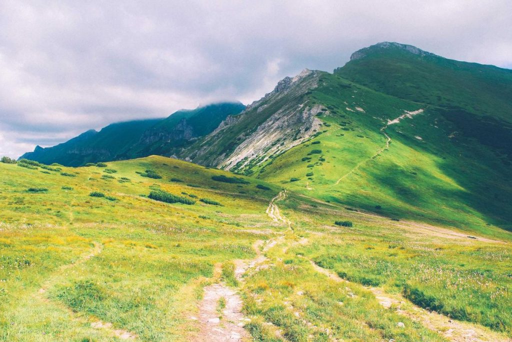 🌱 Solutions naturelles et hygiène de vie